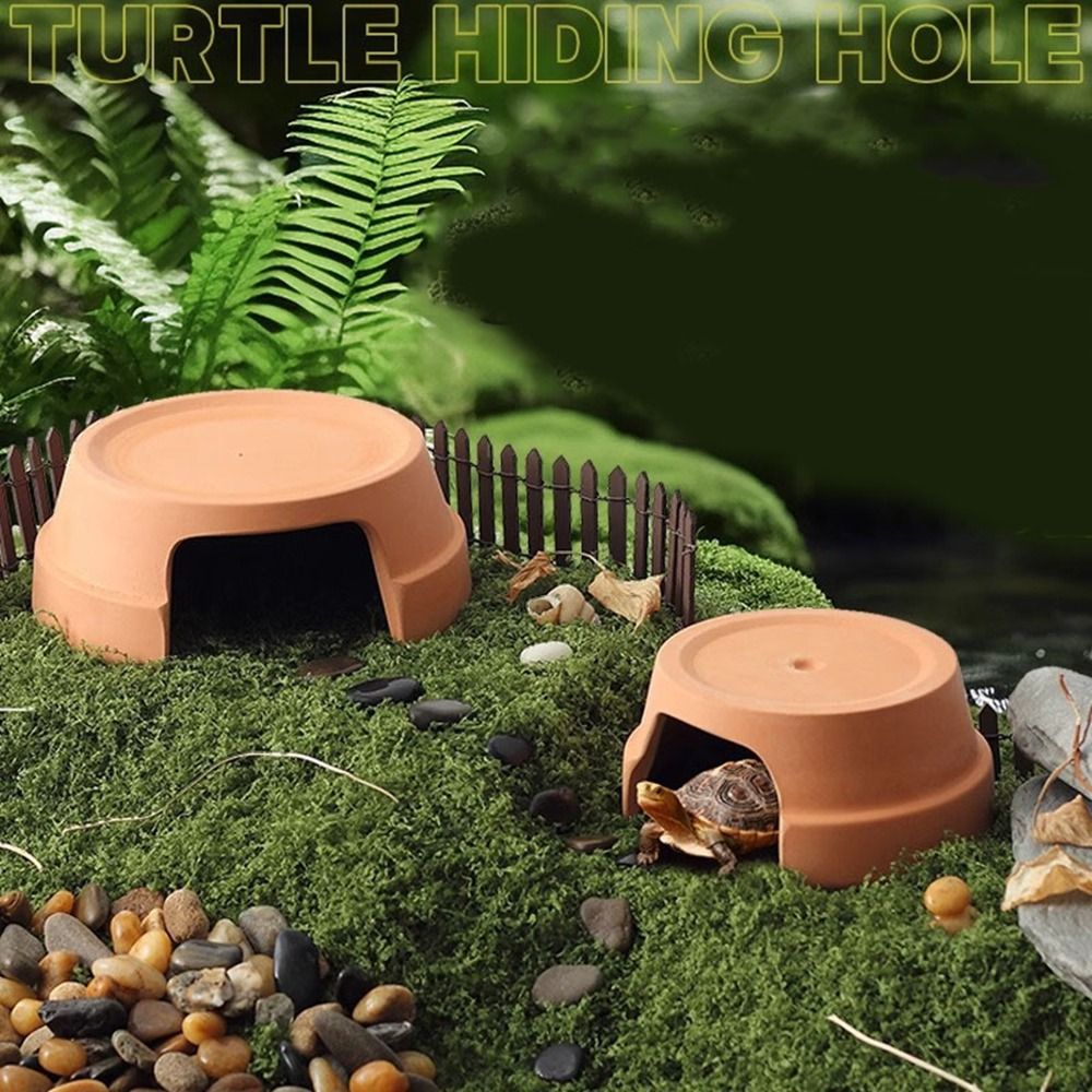 Multifunctional Ceramics Repti - مراجعة Hide Cave Ceramic وسعره