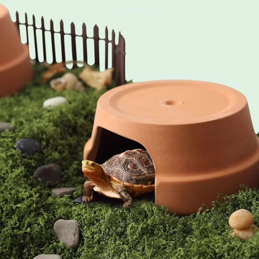 Multifunctional Ceramics Repti - مراجعة Hide Cave Ceramic وسعره