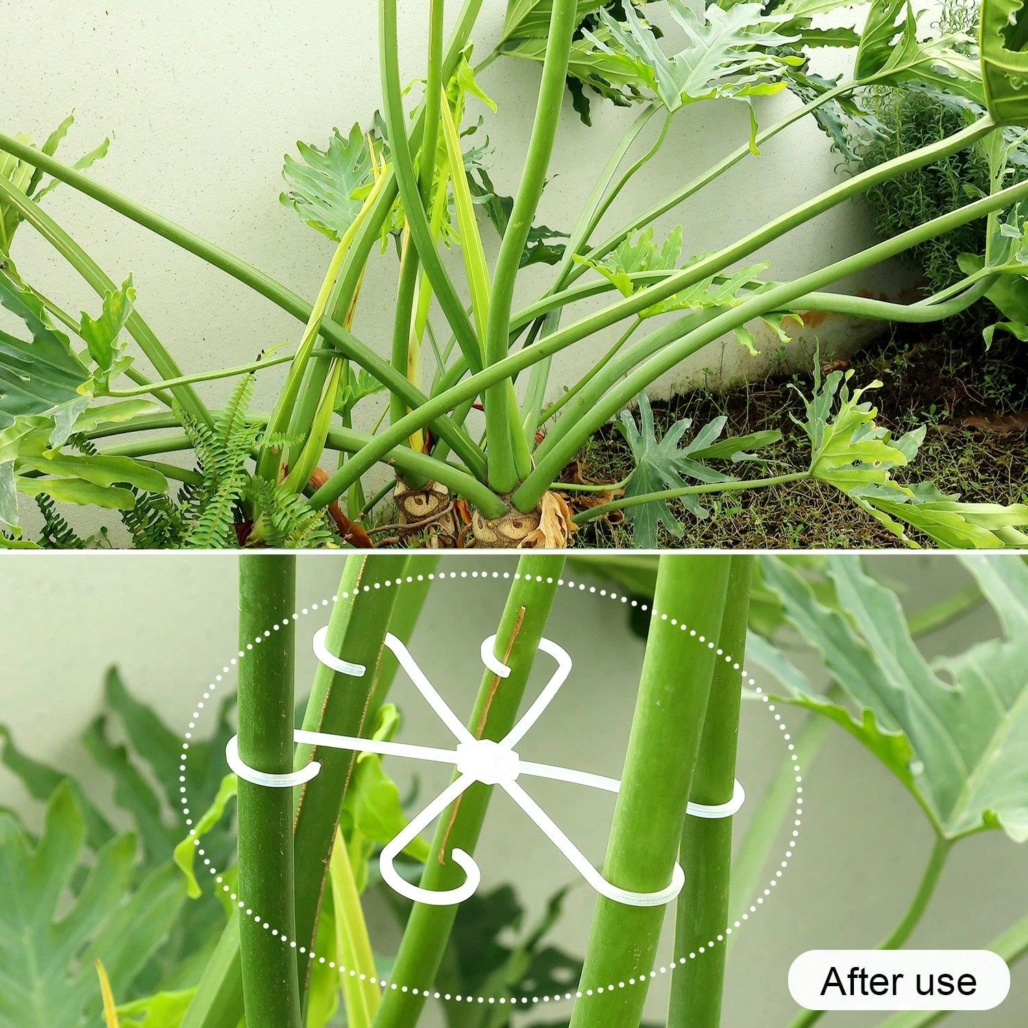 1Pc Plastic Plant Support Clip - مراجعة Vine Climbing Plastic وسعره