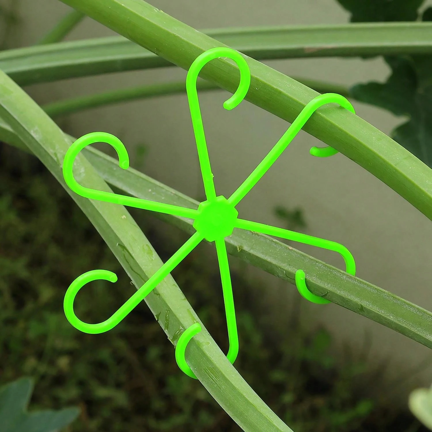 1Pc Plastic Plant Support Clip - مراجعة Vine Climbing Plastic وسعره
