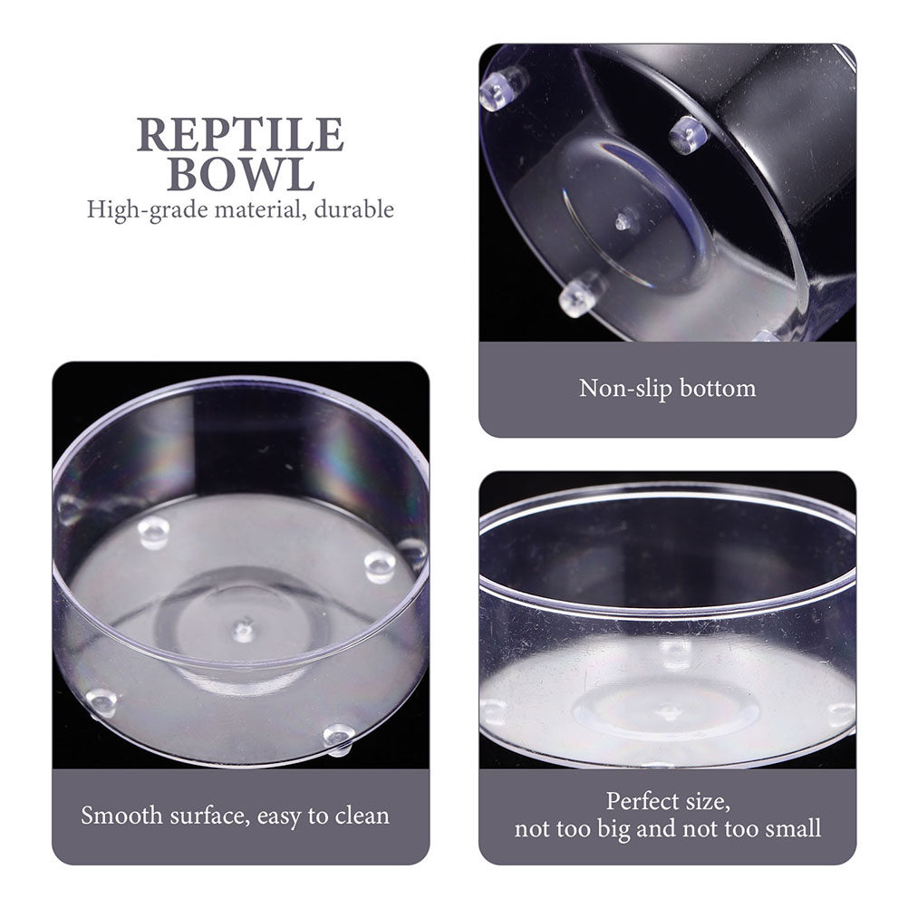 10Pcs Acrylic Reptile Food Wat - مراجعة Water Dish Reptile وسعره