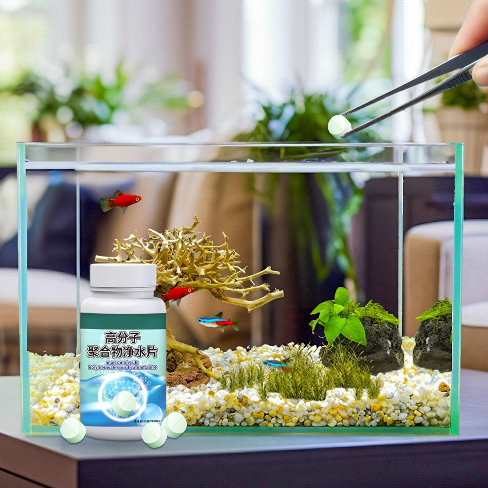 Fish Can Algae Remover Aquariu - مراجعة Water Dish Reptile وسعره