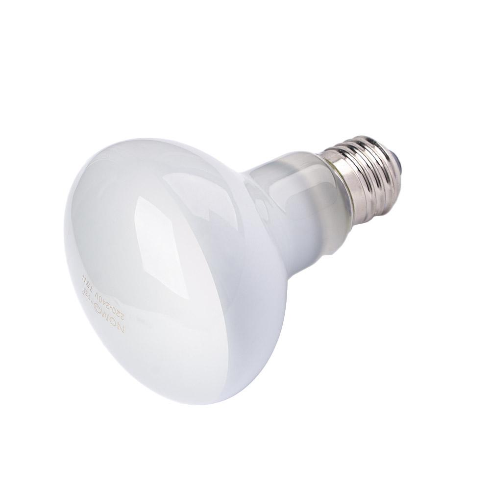 Lizard Heater Temperature Cont - مراجعة Basking Bulb Halogen وسعره