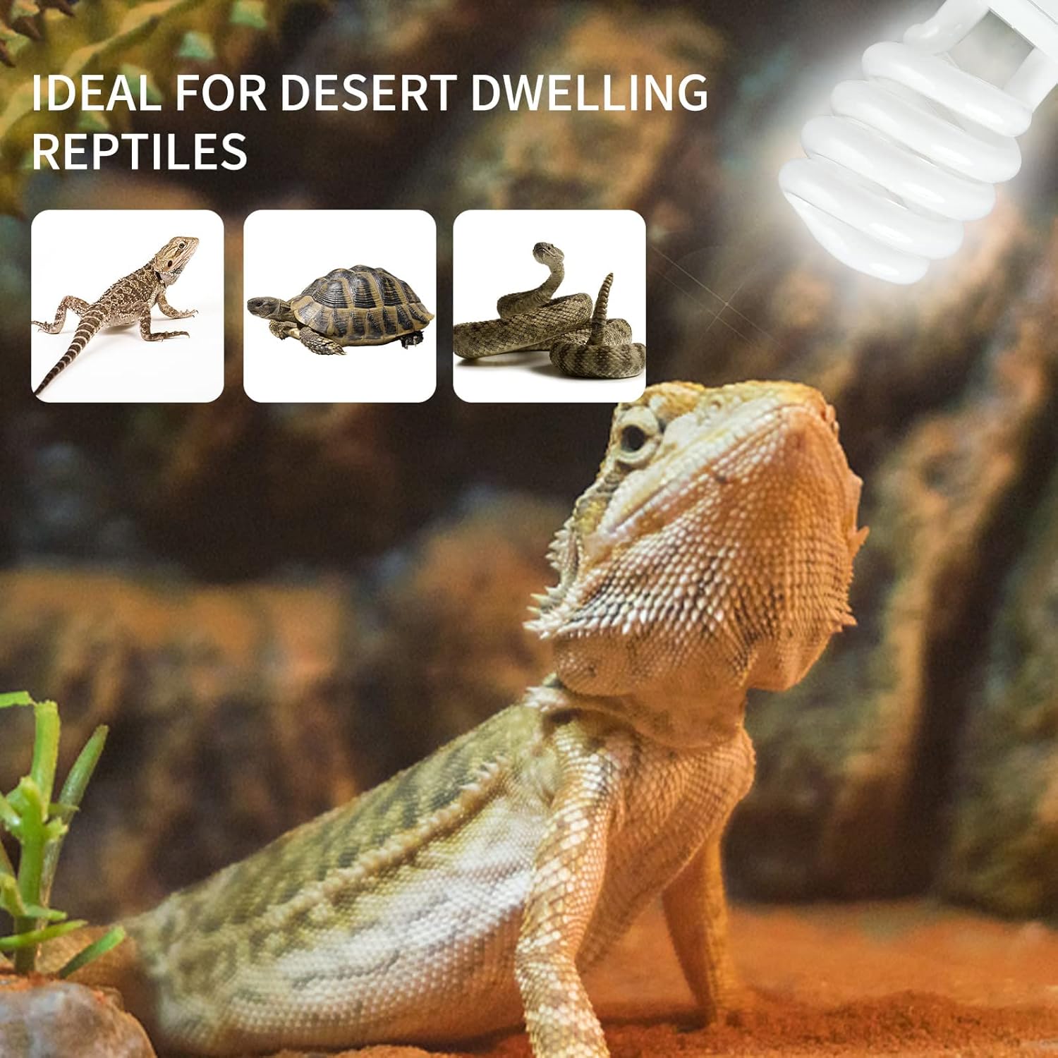 UVB 5.0 10.0 Reptile Heating L - مراجعة Calcium Powder Reptile وسعره