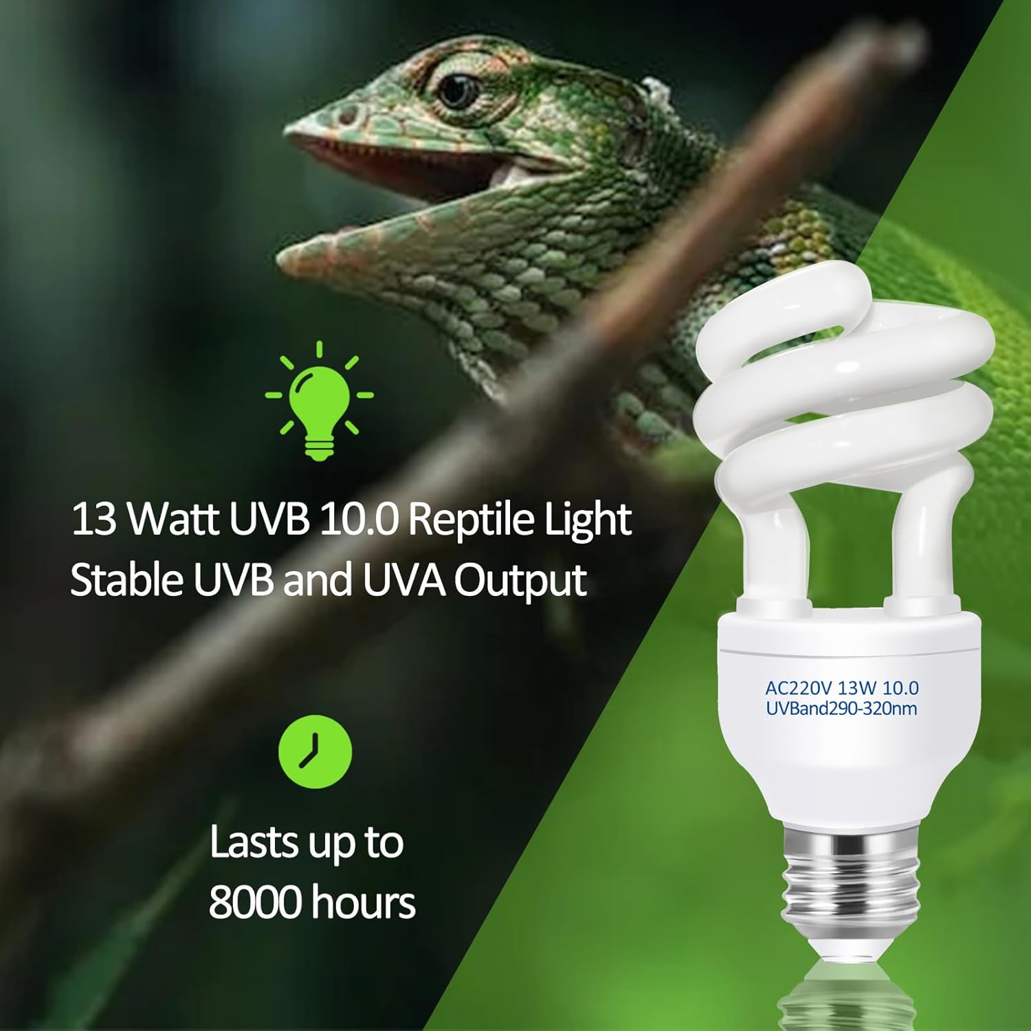 UVB 5.0 10.0 Reptile Heating L - مراجعة Calcium Powder Reptile وسعره