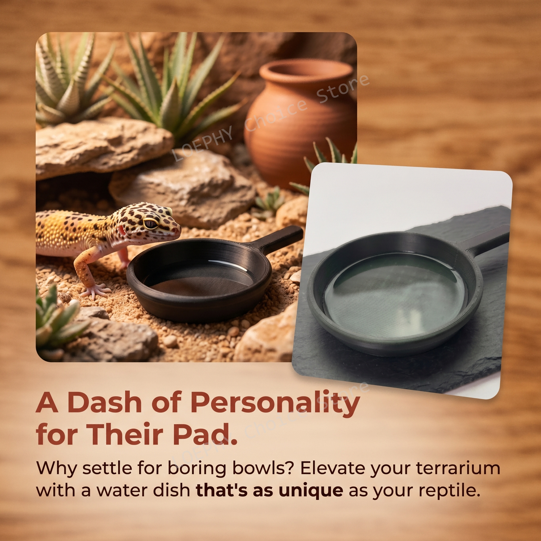 Funny Frying Pan Design Gecko  - مراجعة Water Dish Reptile وسعره
