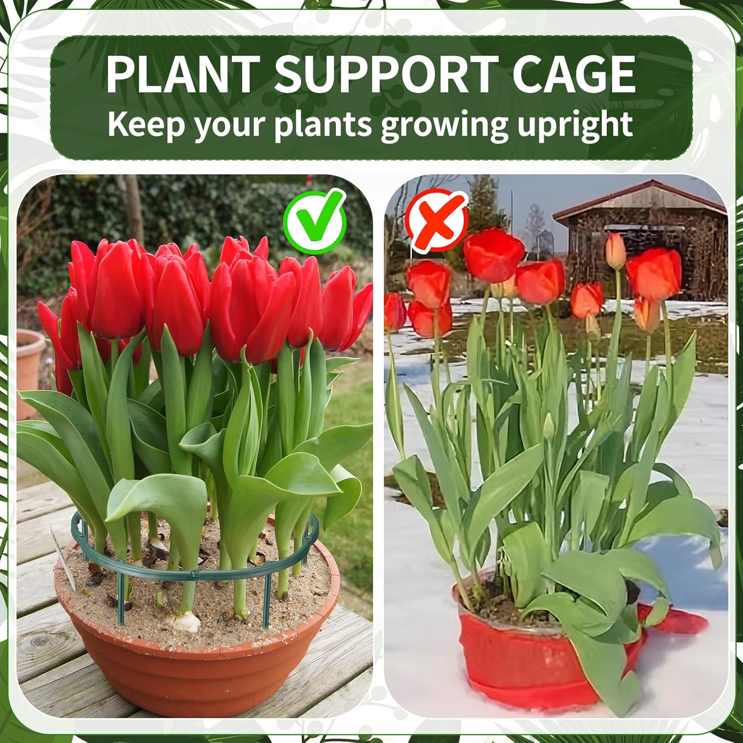 1/16pcs Plant Support Stake Fl - مراجعة Vine Climbing Plastic وسعره