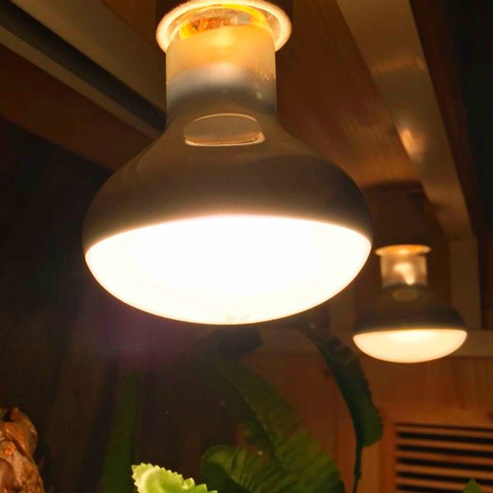 Lizard Heater Temperature Cont - مراجعة Basking Bulb Halogen وسعره
