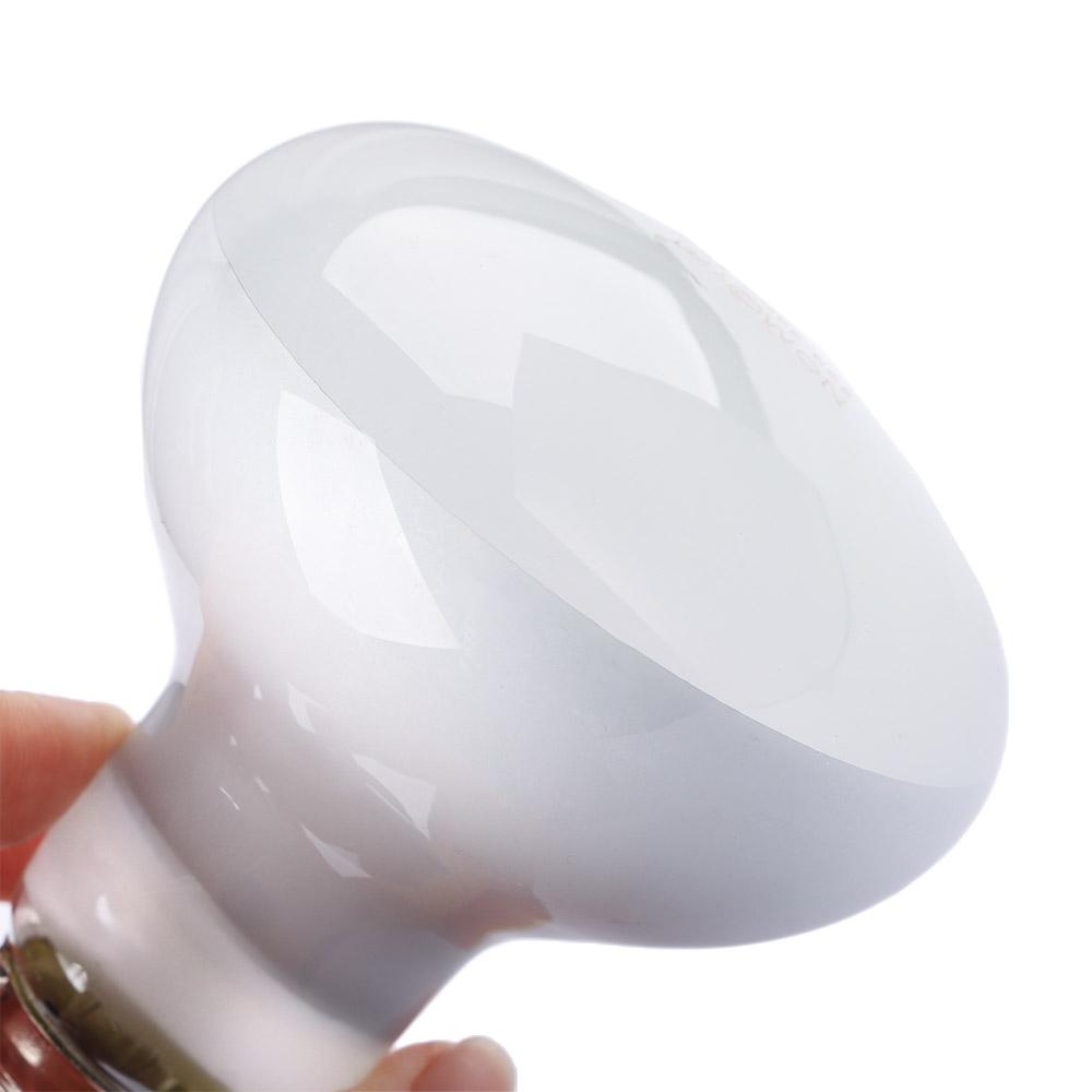 Lizard Heater Temperature Cont - مراجعة Basking Bulb Halogen وسعره