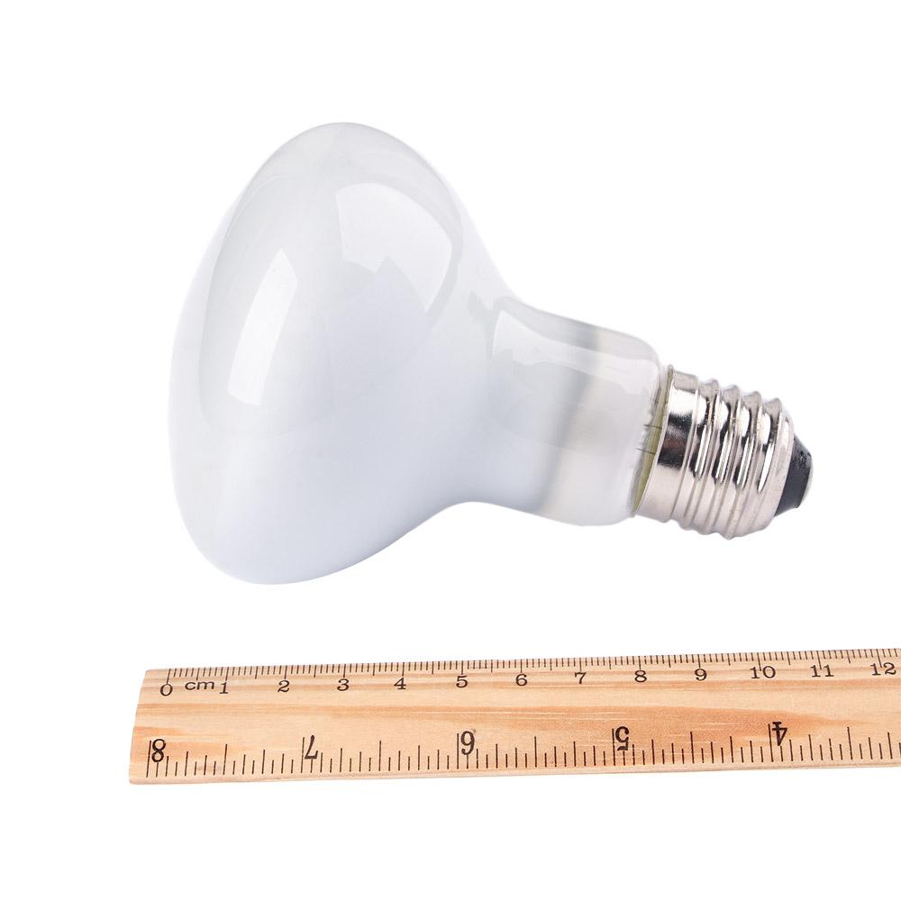 Lizard Heater Temperature Cont - مراجعة Basking Bulb Halogen وسعره