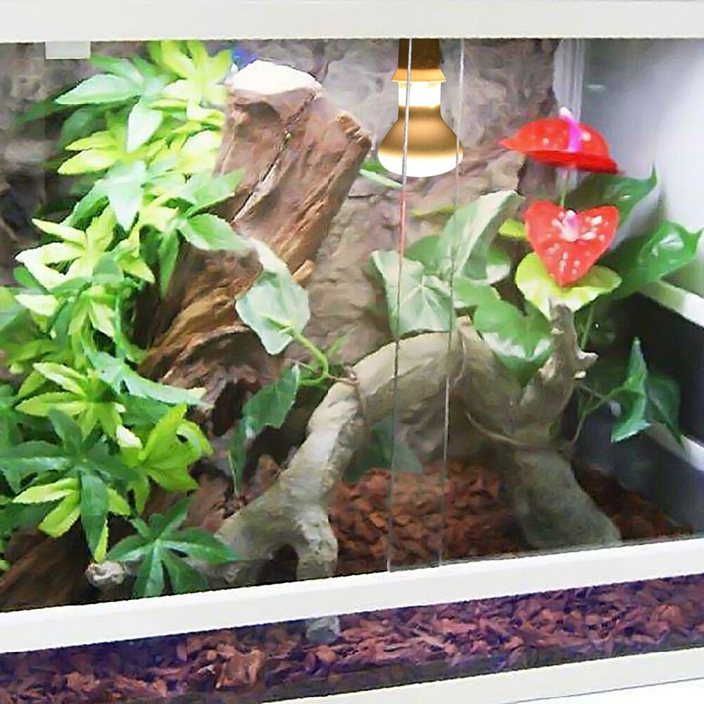 Lizard Temperature Controller  - مراجعة Basking Bulb Halogen وسعره