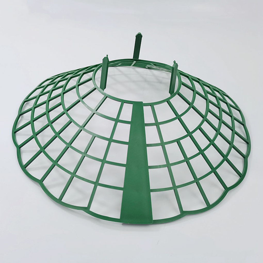 20PCS Strawberry Stand Green C - مراجعة Vine Climbing Plastic وسعره