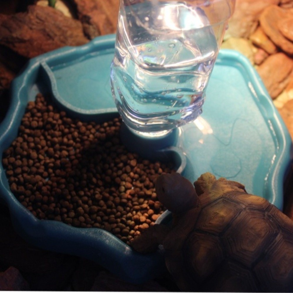New Removable Reptile Feeder E - مراجعة Water Dish Reptile وسعره