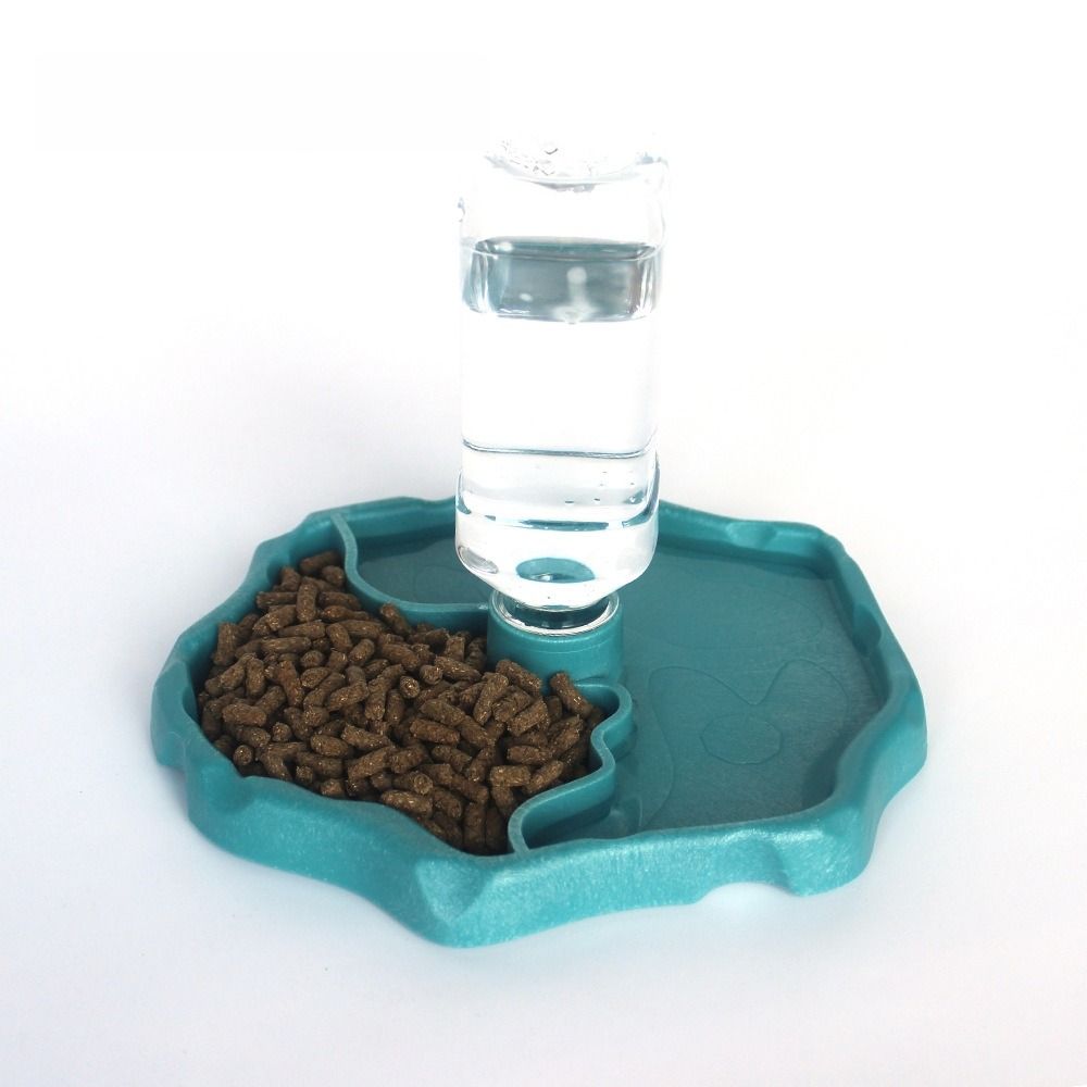 New Removable Reptile Feeder E - مراجعة Water Dish Reptile وسعره