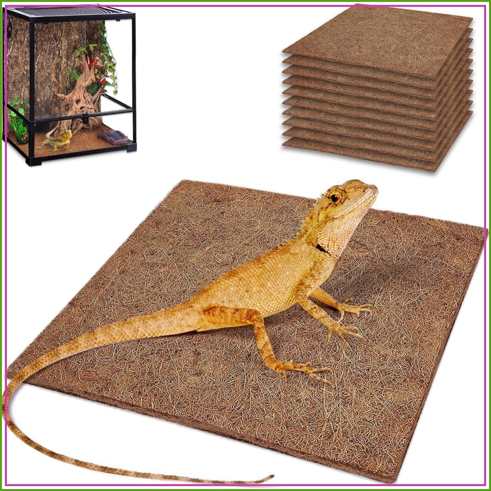 10 Pcs Natural Coconut Fiber R - مراجعة Substrate Coconut Fiber وسعره