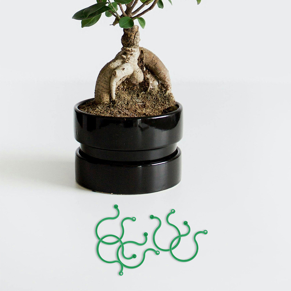 200Pcs Plastic Garden Plant Cl - مراجعة Vine Climbing Plastic وسعره