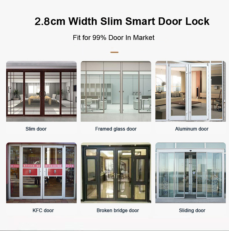 Smart Door Lock With Fingerpri - مراجعة Glass Door Hinge وسعره