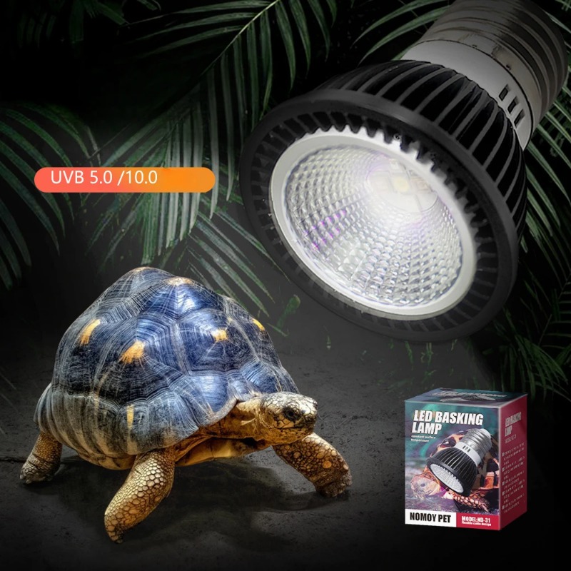 NOMOY Reptile 110/220V UVB+UVA - مراجعة Calcium Powder Reptile وسعره