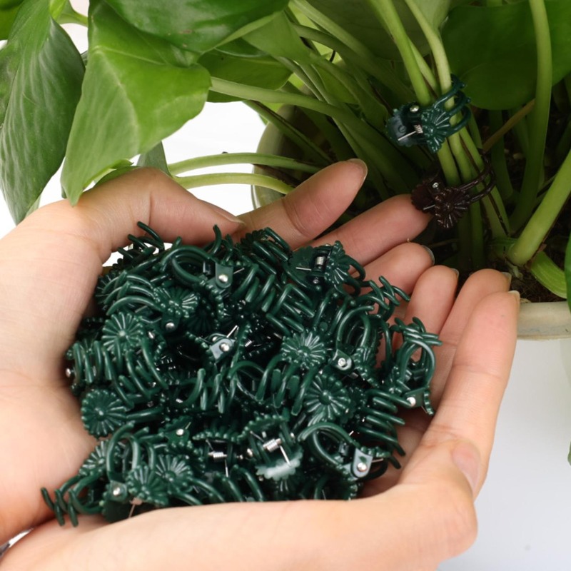 Wholesale Mini Plant Support C - مراجعة Vine Climbing Plastic وسعره