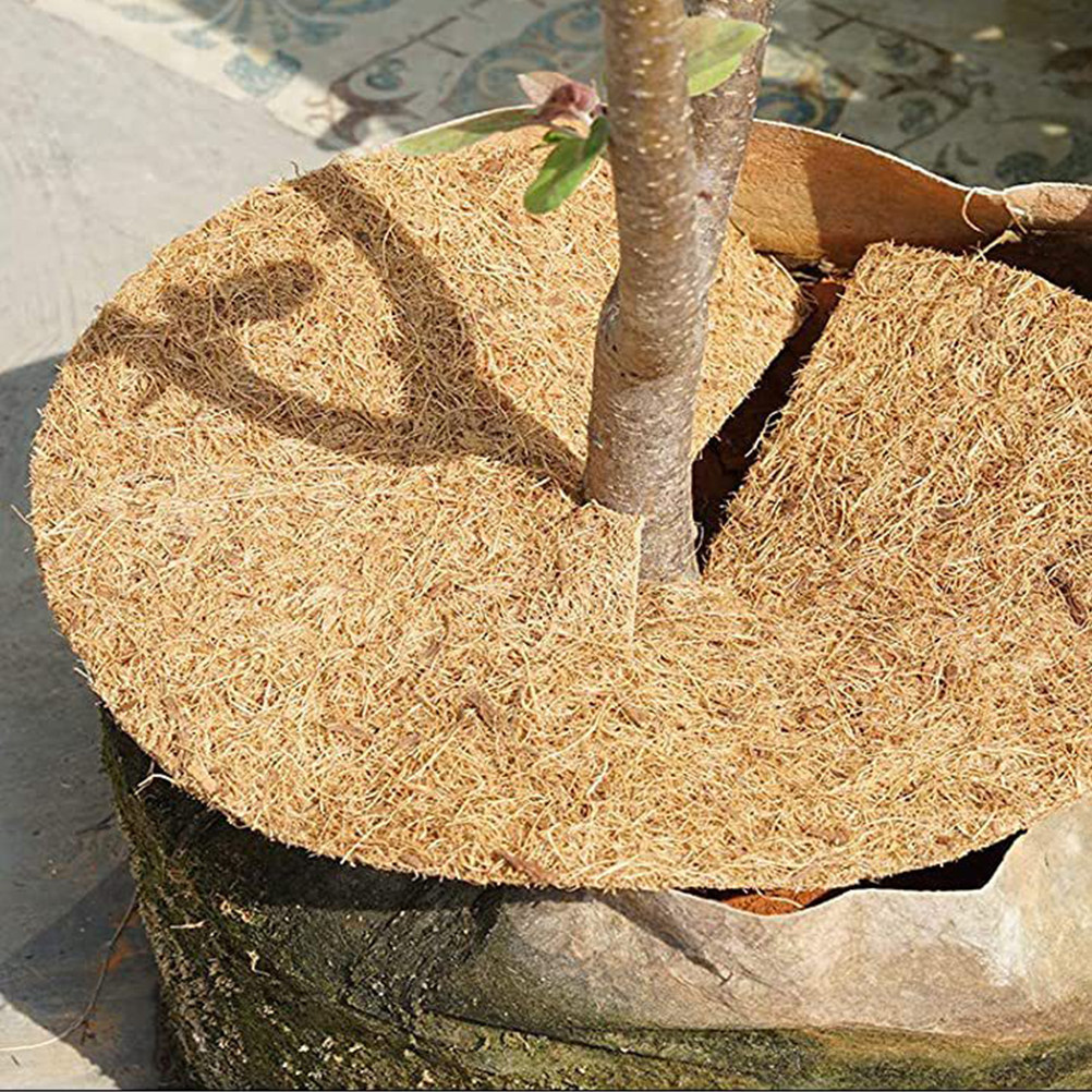 1 Roll Thick Coconut Fiber Lin - مراجعة Substrate Coconut Fiber وسعره