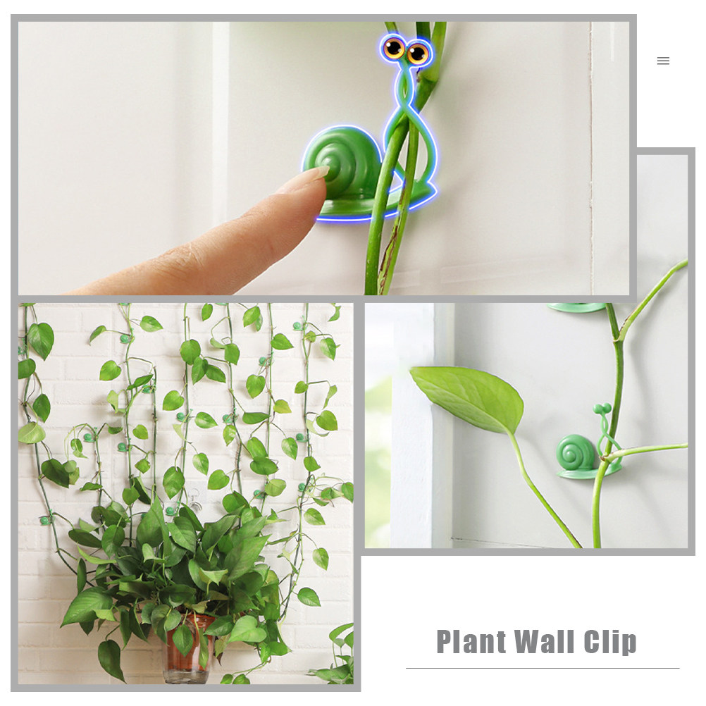 20Pcs Plant Climbing Wall Clip - مراجعة Vine Climbing Plastic وسعره