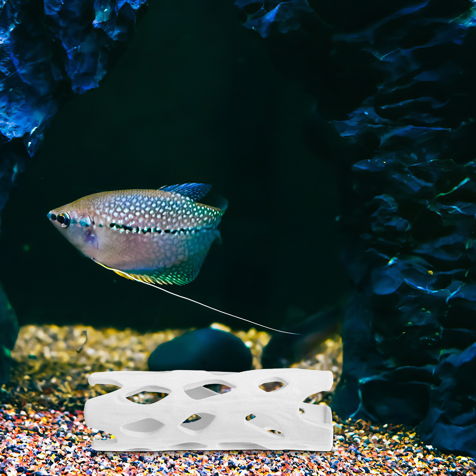 Ceramic Aquarium Decor Shrimp  - مراجعة Hide Cave Ceramic وسعره