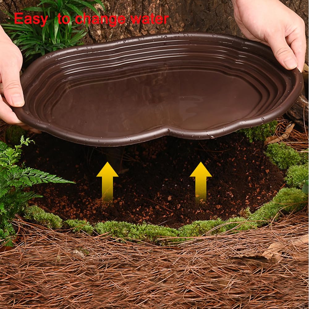 Reptile Bathing Dish Amphibian - مراجعة Water Dish Reptile وسعره