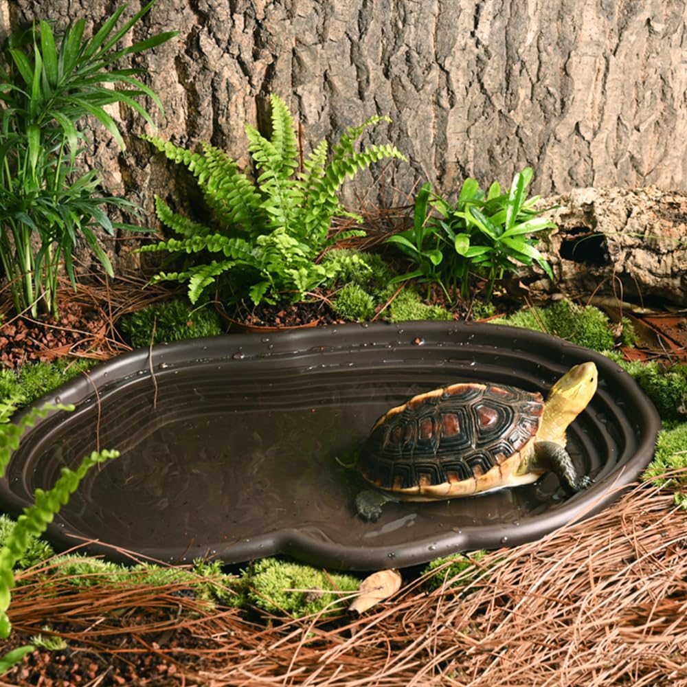 Reptile Bathing Dish Amphibian - مراجعة Water Dish Reptile وسعره