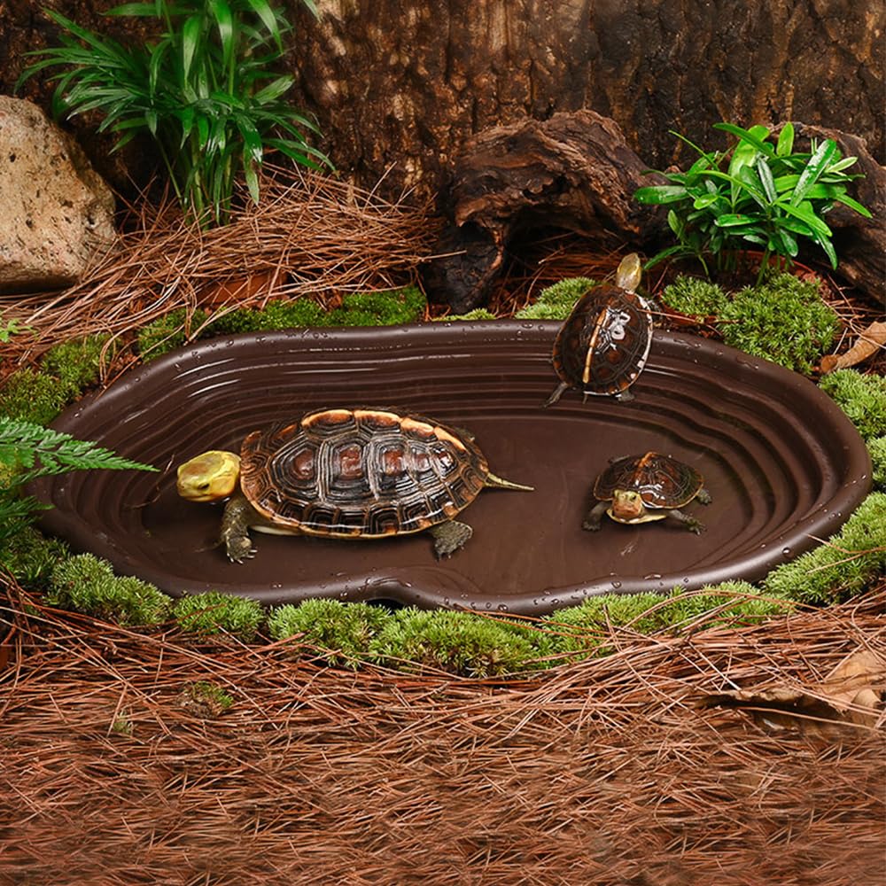 Reptile Bathing Dish Amphibian - مراجعة Water Dish Reptile وسعره