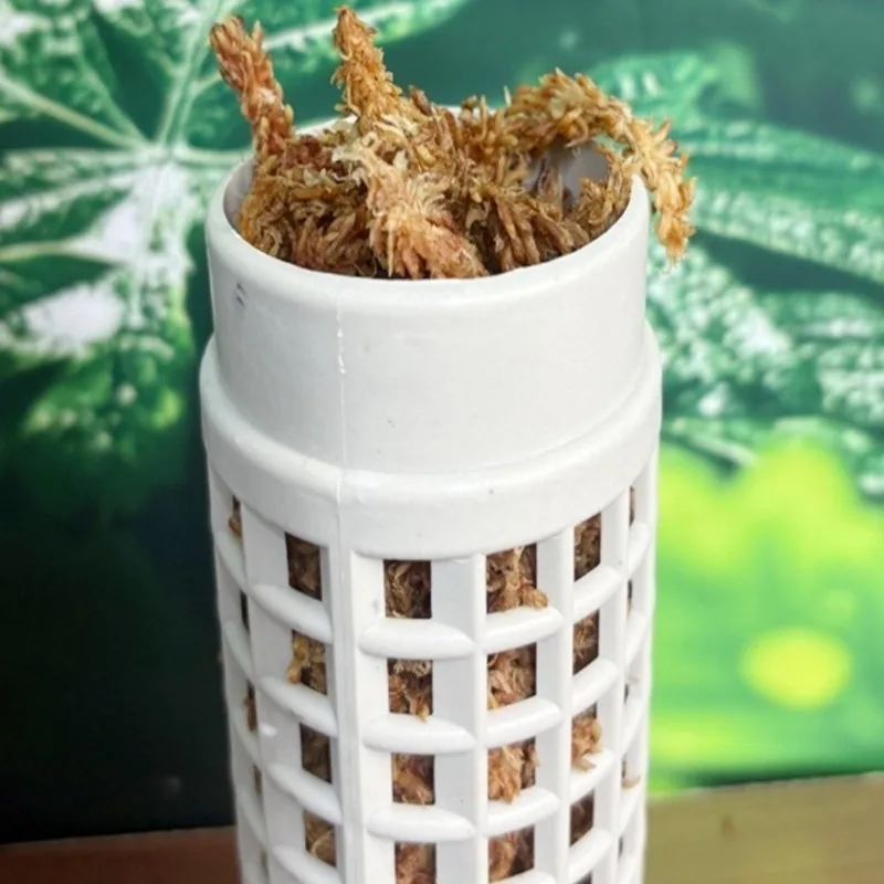 2026-9PCS Easy Assembly Plasti - مراجعة Vine Climbing Plastic وسعره