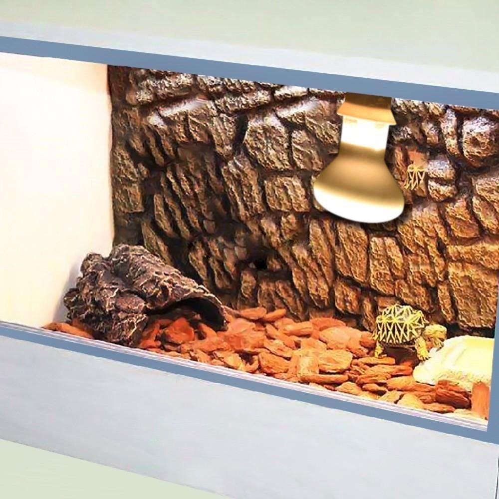 Turtle Heater Heat Lamp Reptil - مراجعة Basking Bulb Halogen وسعره
