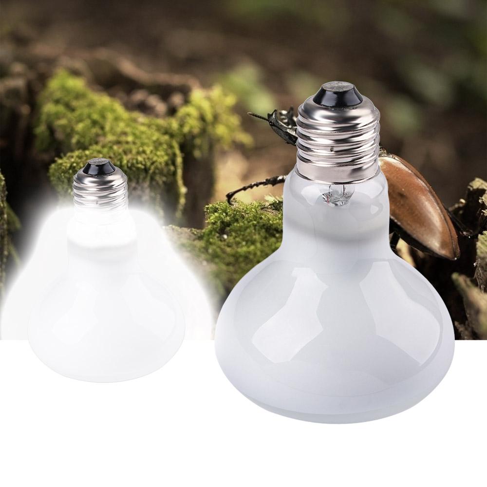 Turtle Heater Heat Lamp Reptil - مراجعة Basking Bulb Halogen وسعره