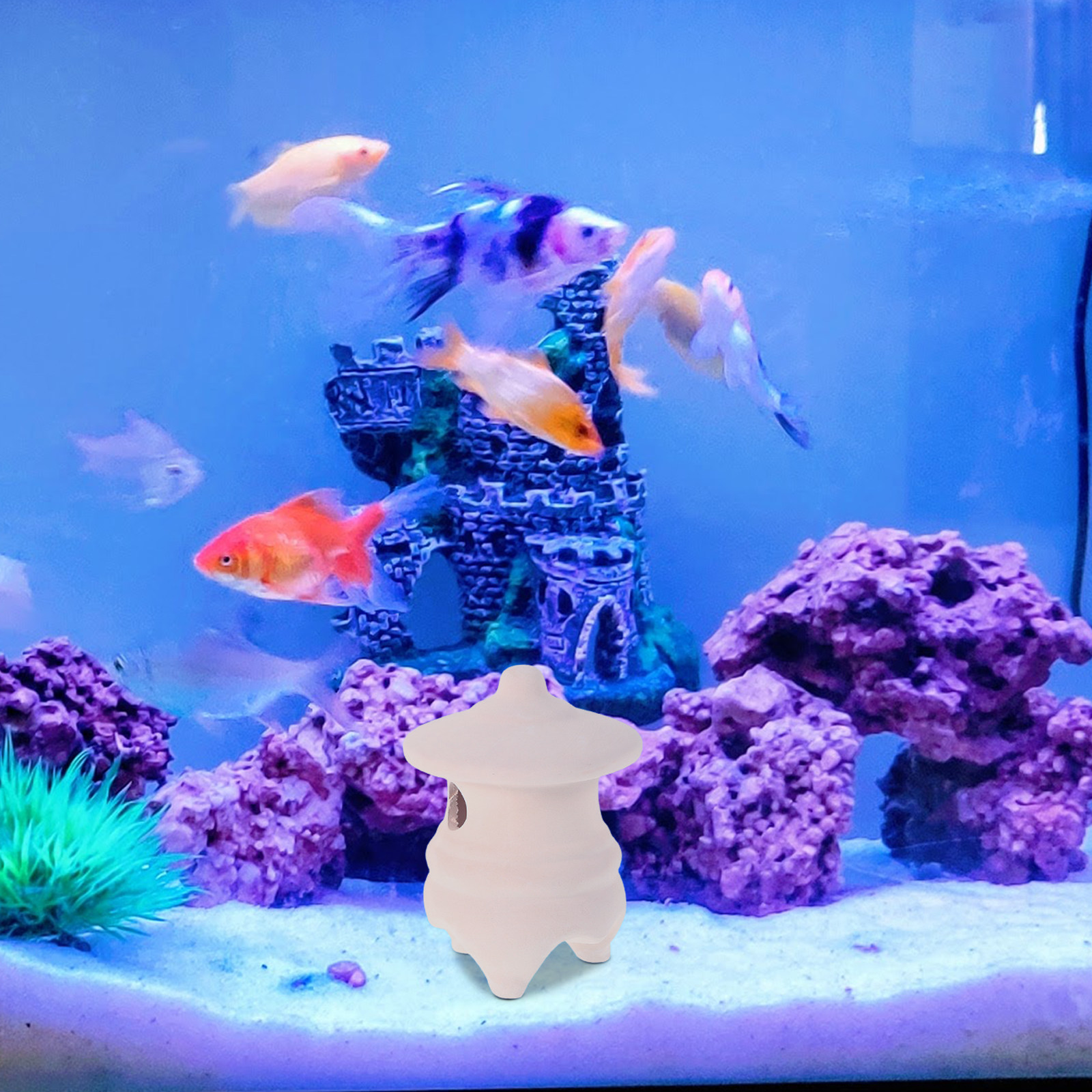 2Pcs Ceramic Aquarium Hide Fis - مراجعة Hide Cave Ceramic وسعره