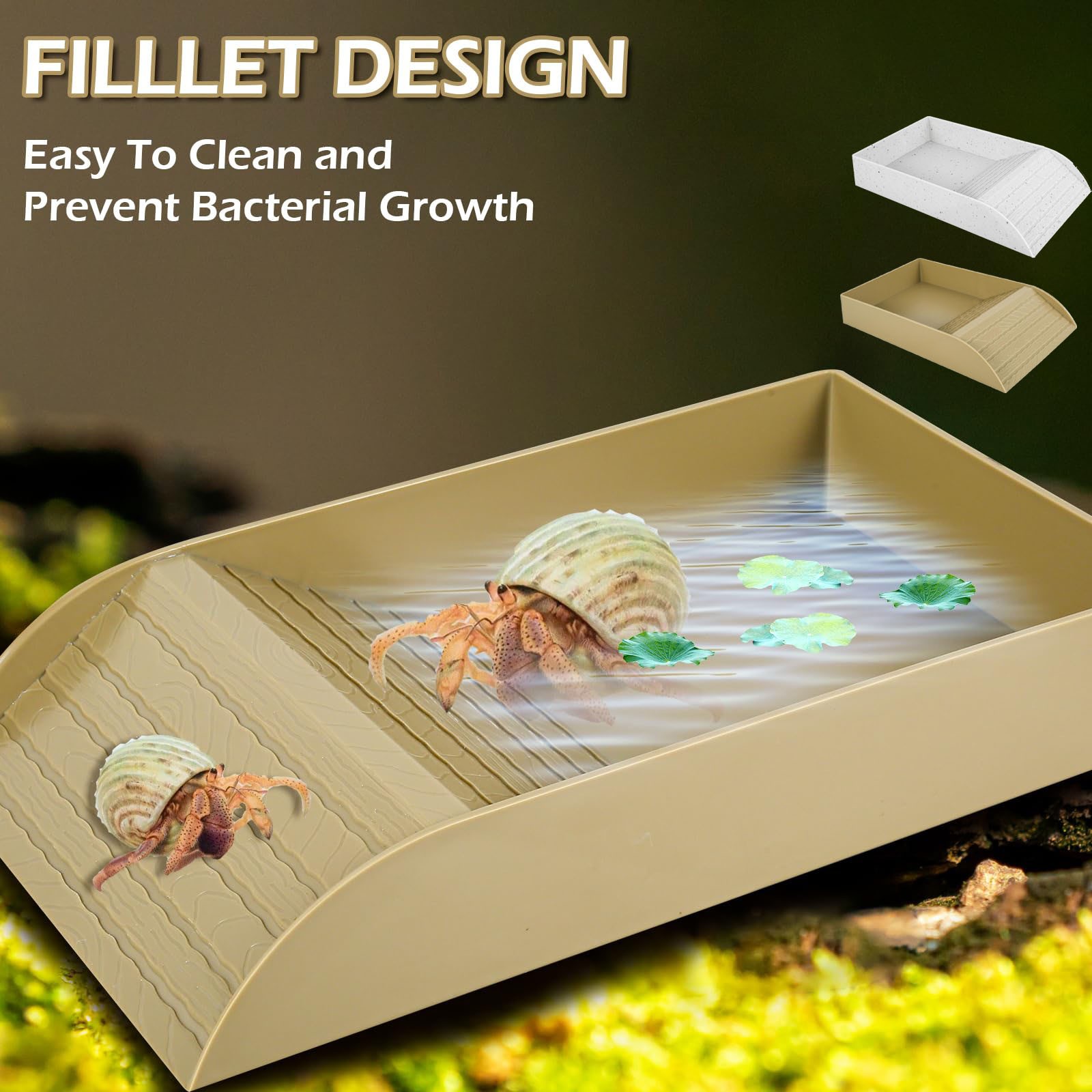 Anti Slip Tortoise Bath Dish T - مراجعة Water Dish Reptile وسعره