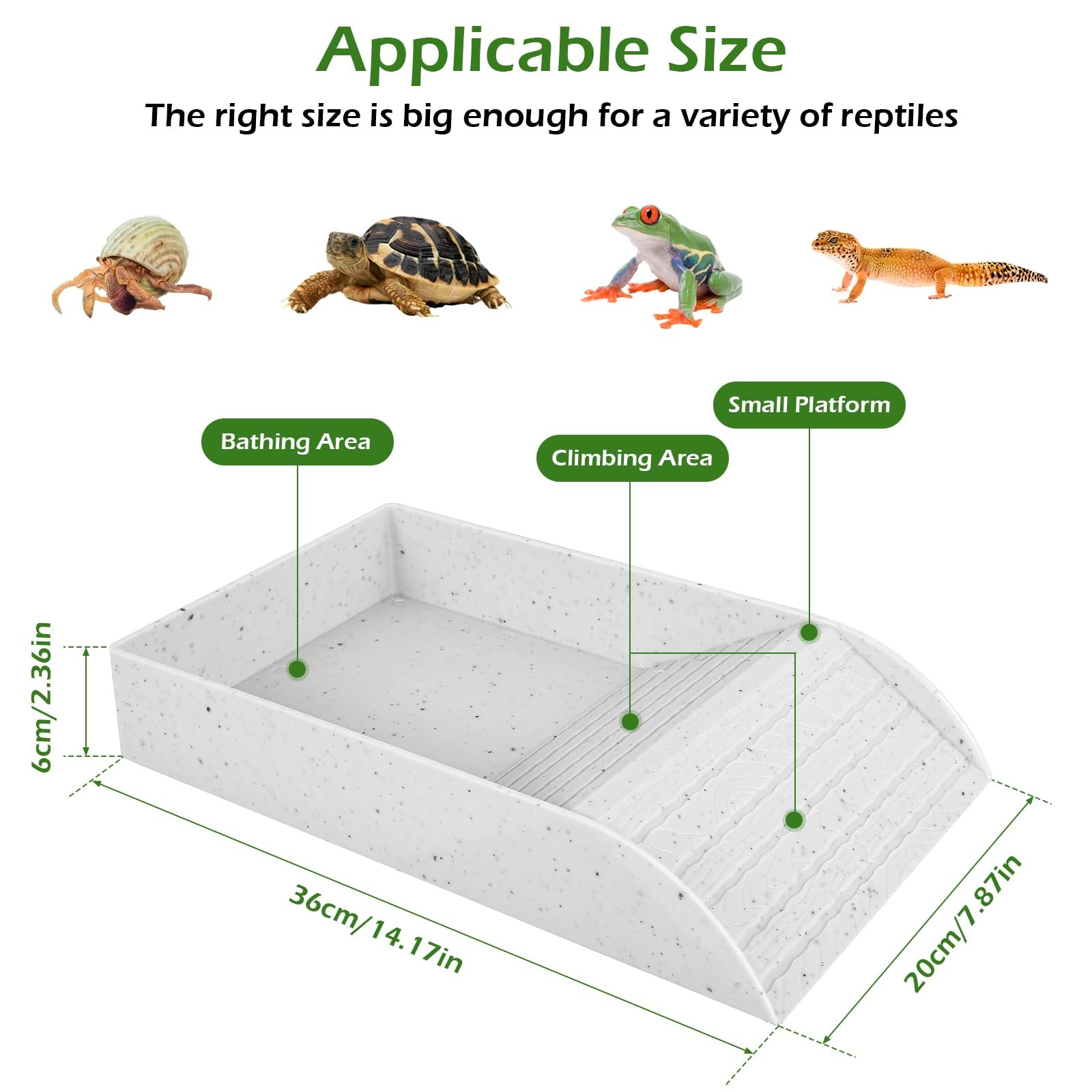 Anti Slip Tortoise Bath Dish T - مراجعة Water Dish Reptile وسعره