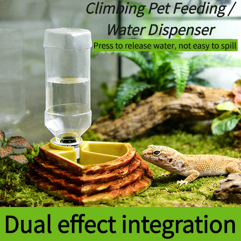 2 in 1 Reptile Water Cup Feede - مراجعة Water Dish Reptile وسعره