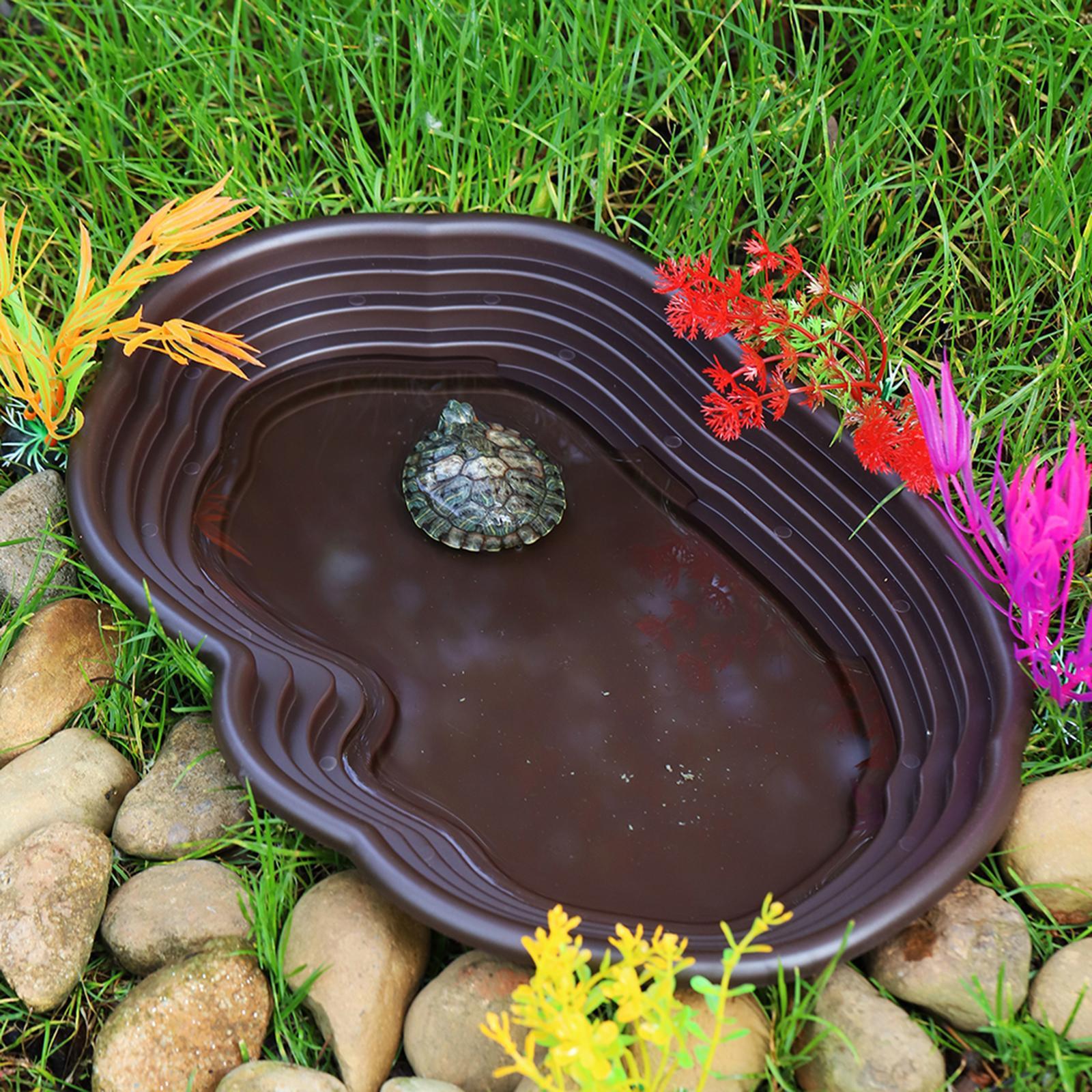 Reptile Bathing Dish Tortoise  - مراجعة Water Dish Reptile وسعره