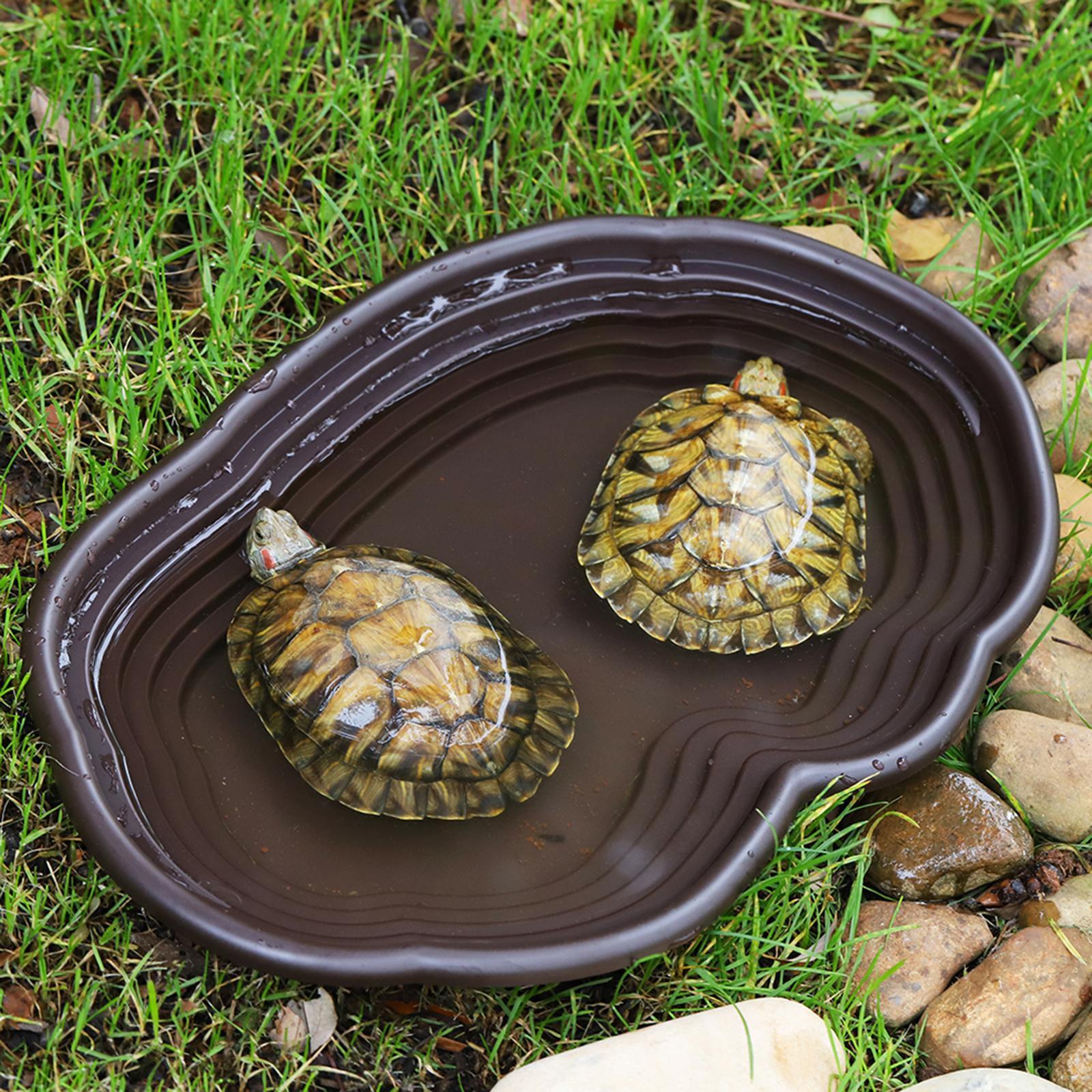 Reptile Bathing Dish Tortoise  - مراجعة Water Dish Reptile وسعره