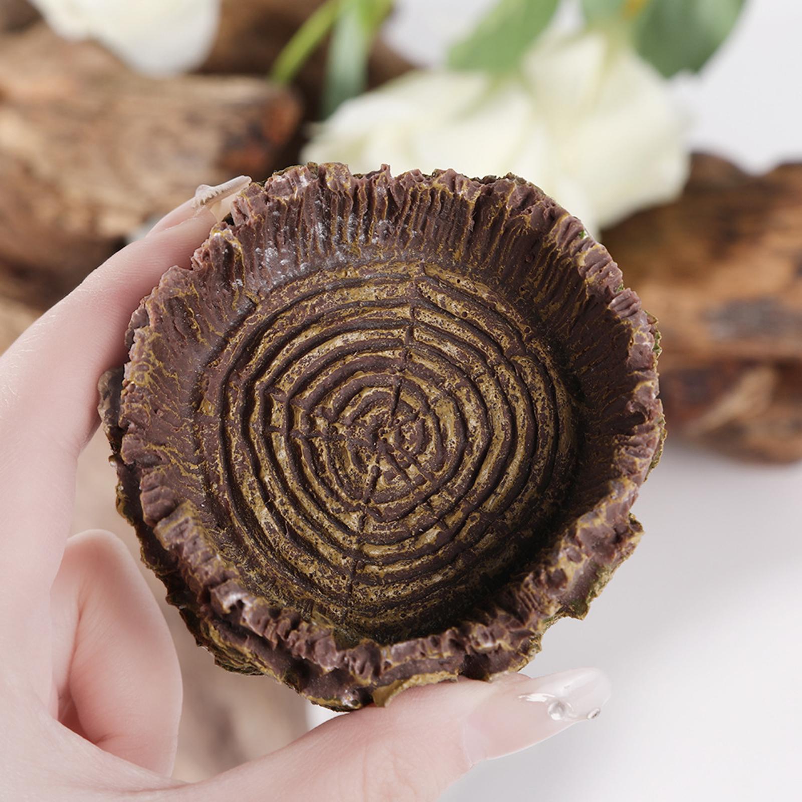 Reptile Bathing Dish Tortoise  - مراجعة Water Dish Reptile وسعره