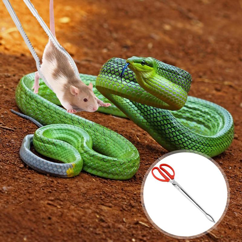 Stainless Steel Reptile Feeder - مراجعة Feeding Tong Stainless وسعره