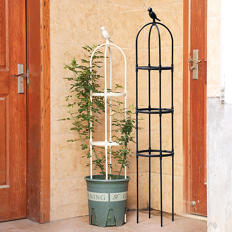C 1Set Climbing Plant Trellis  - مراجعة Vine Climbing Plastic وسعره