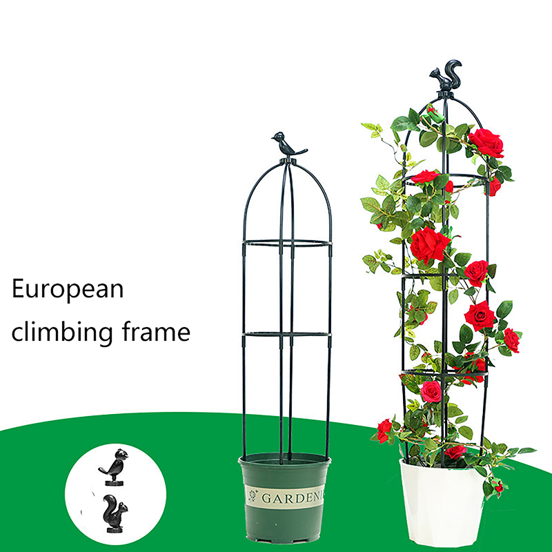 C 1Set Climbing Plant Trellis  - مراجعة Vine Climbing Plastic وسعره