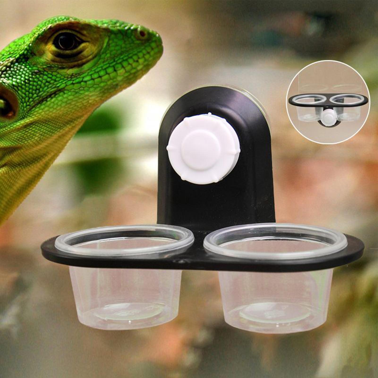 Gecko Food Dish Gecko Feeding  - مراجعة Water Dish Reptile وسعره