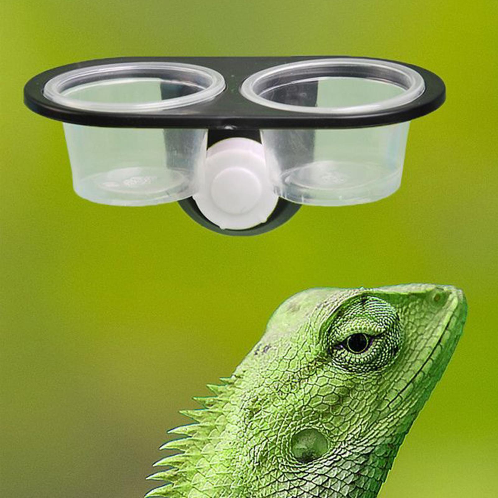 Gecko Food Dish Gecko Feeding  - مراجعة Water Dish Reptile وسعره