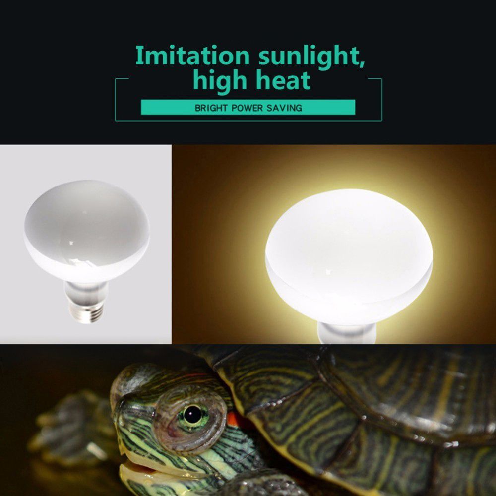 Turtle Heater Temperature Cont - مراجعة Basking Bulb Halogen وسعره