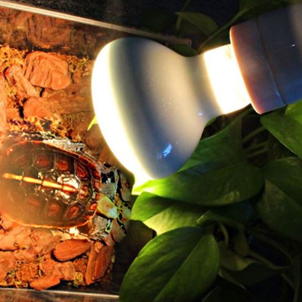 Turtle Heater Temperature Cont - مراجعة Basking Bulb Halogen وسعره