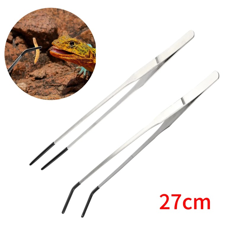 2Pcs Stainless Steel Tweezers  - مراجعة Water Dish Reptile وسعره