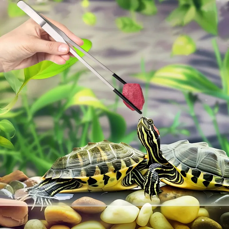 2Pcs Stainless Steel Tweezers  - مراجعة Water Dish Reptile وسعره