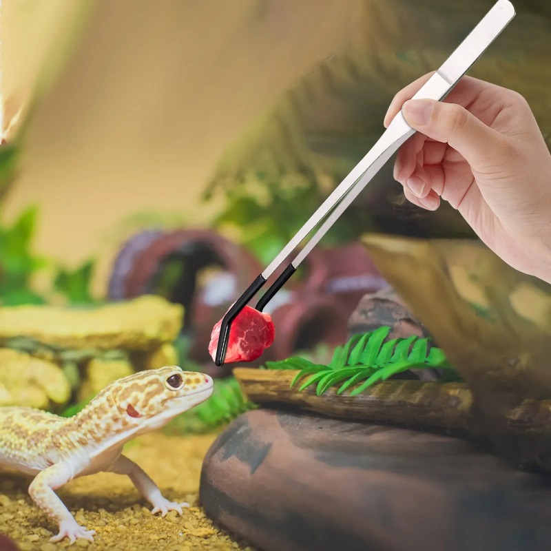 2Pcs Stainless Steel Tweezers  - مراجعة Water Dish Reptile وسعره