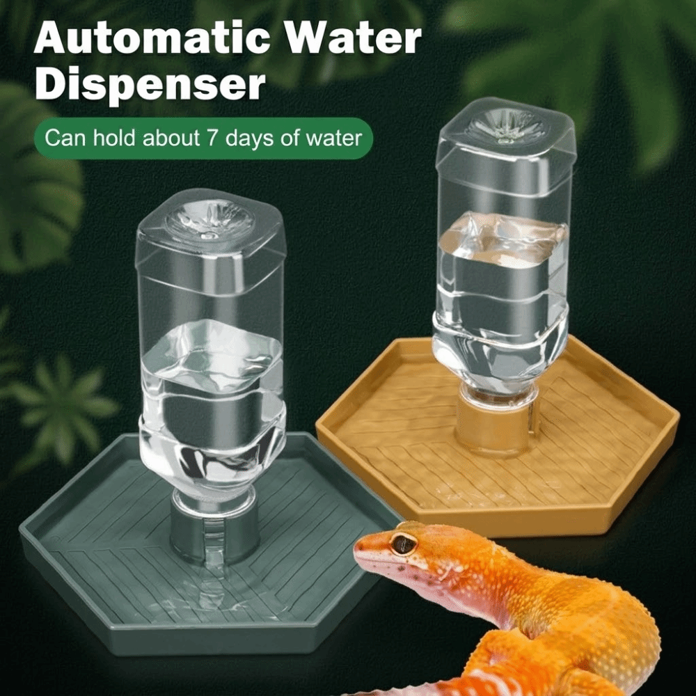 Feeding Supplies Automatic Tur - مراجعة Water Dish Reptile وسعره